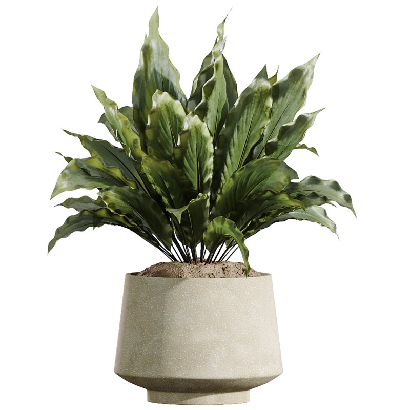 AV Indoor Plants Set 393 Spathiphyllum Wallisii and Ficus Binnendijki and Schefflera Arboricola and Japandi Decorative - Image 3