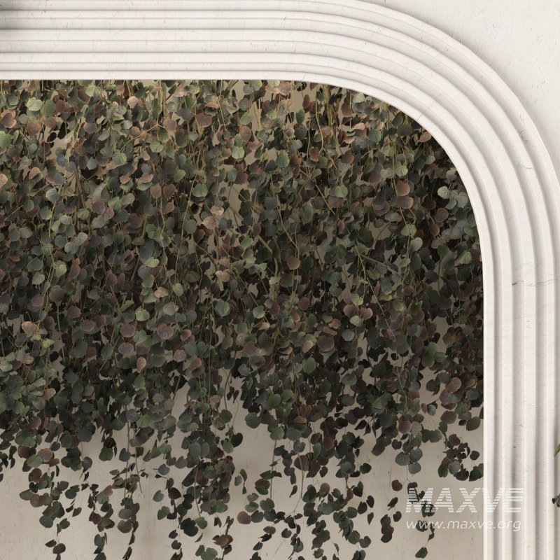 welcome area box with plant - Image 4