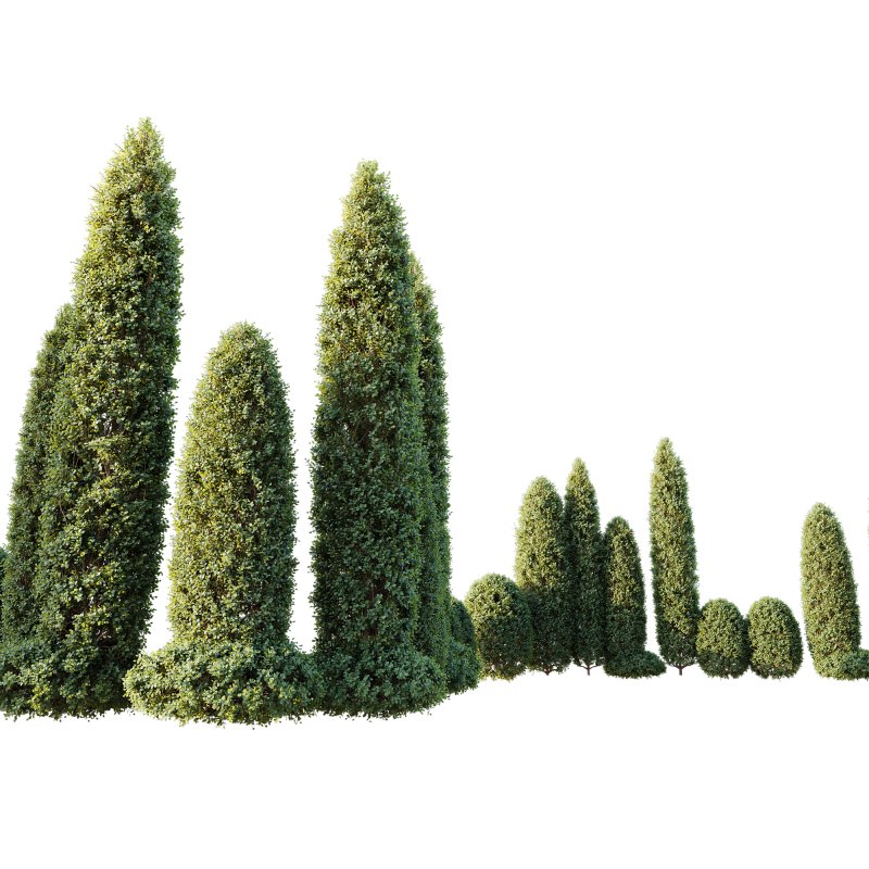 ntal shrubs, featuring four expertly pruned forms — columnar, conical, oval, and dome. Each model is crafted with high botanical accuracy to represent the elegance and precision of formal topiary design. - Image 1