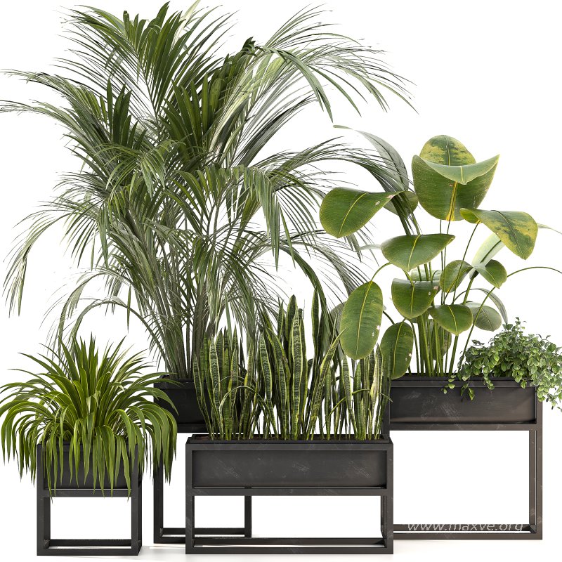 Metal plant set 07 - Image 4