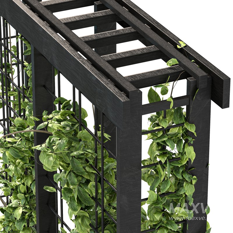 Vertical Garden Trellis 02 - Image 9