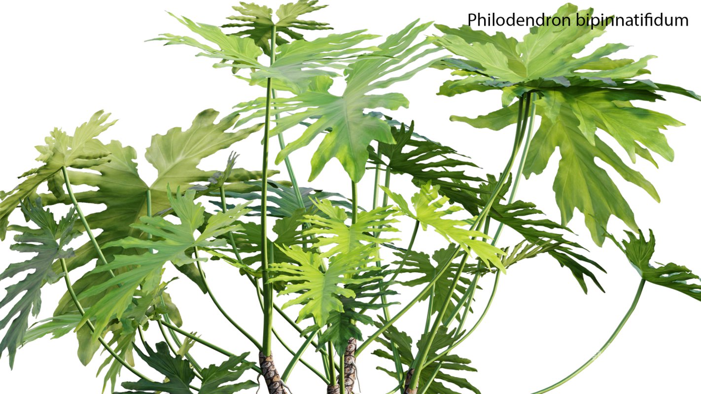 Collection 21 – Vertical garden – Green wall - Image 19