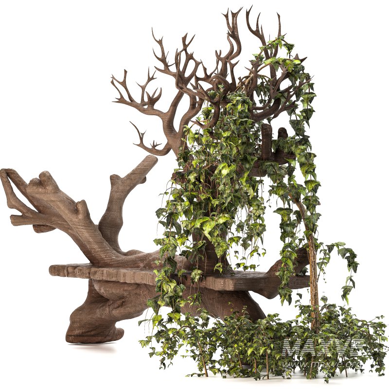 Wooden bench with English ivy - Image 7