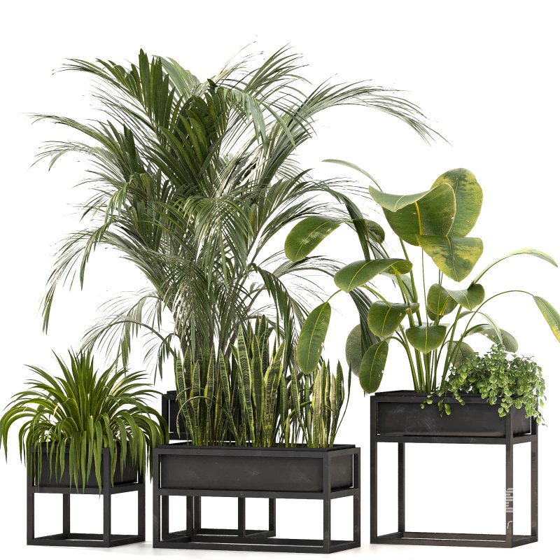 Metal plant set 07 - Image 2