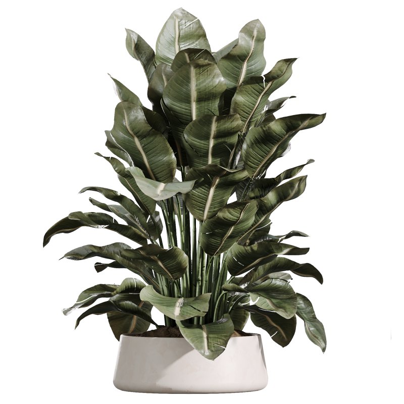 AV Indoor Plants Set 388 - Image 5