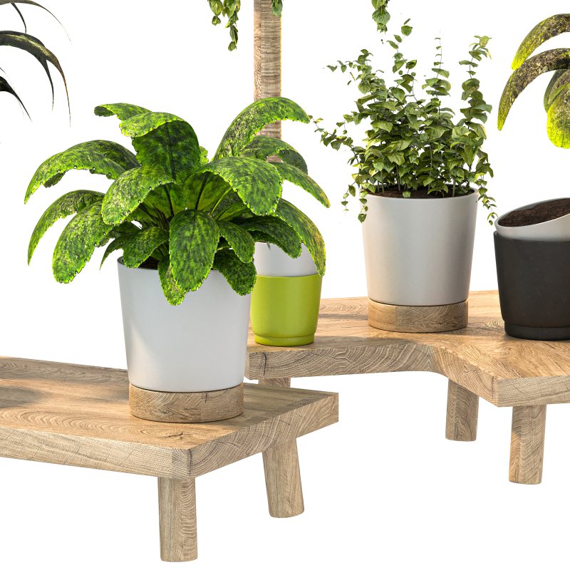Wooden Stand Plant - Image 7