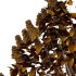 Lilac Syringa Vulgaris Tree 06 - Thumbnail 3