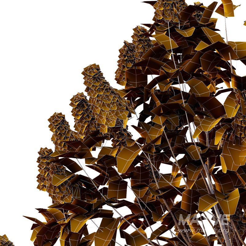 Lilac Syringa Vulgaris Tree 06 - Image 3