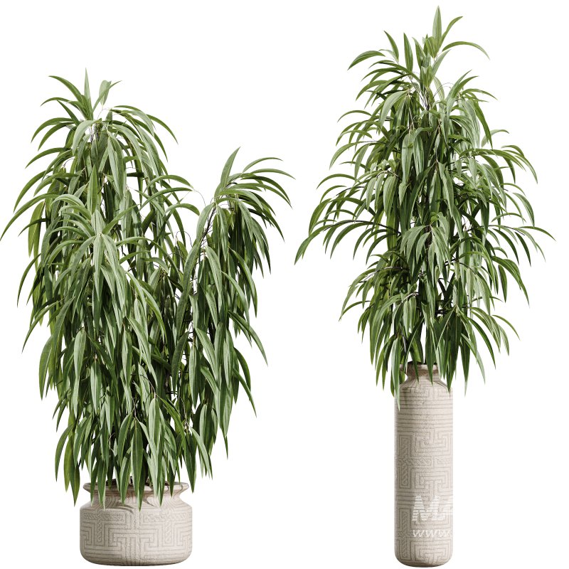AV Indoor Plants Set 393 Spathiphyllum Wallisii and Ficus Binnendijki and Schefflera Arboricola and Japandi Decorative - Image 7
