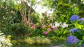 Collection 19 – Japanese garden - Thumbnail 2