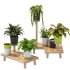 Wooden Stand Plant - Thumbnail 4