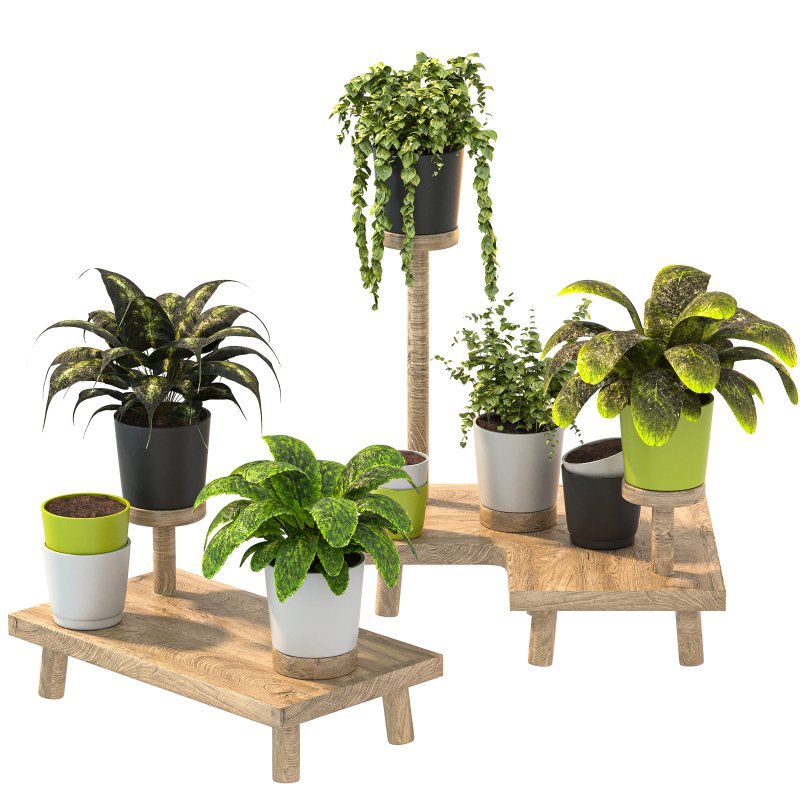 Wooden Stand Plant - Image 4