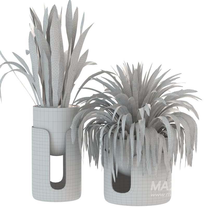 Plant Set 11 - Image 1