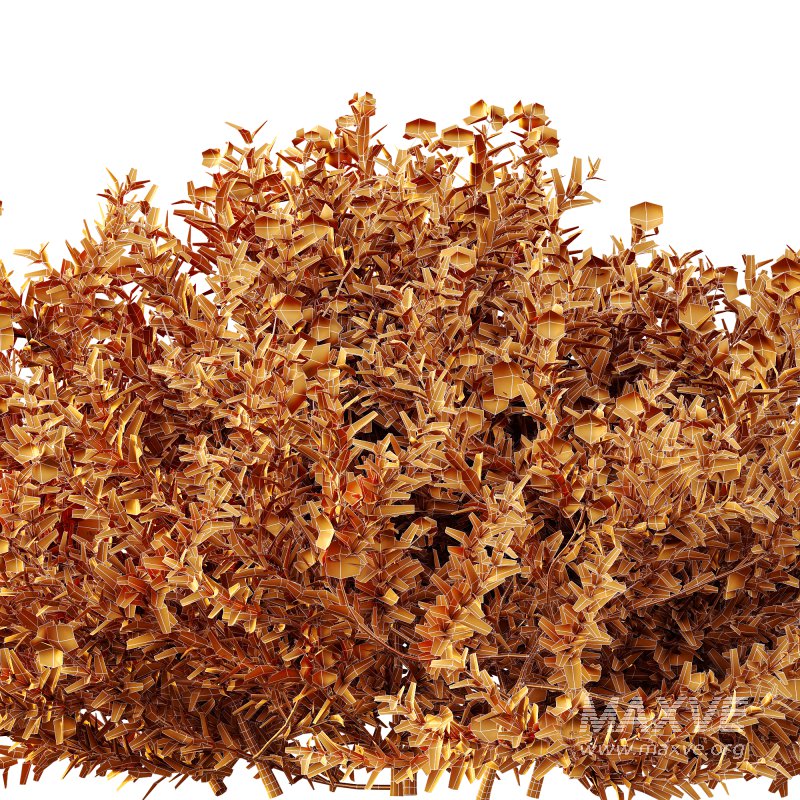 ntal shrubs designed for realistic landscape and architectural visualization. - Image 7