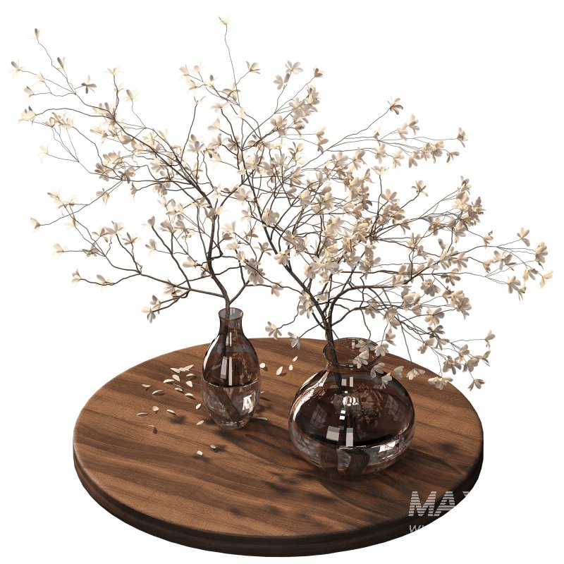 Indoor plant 075 - Image 1