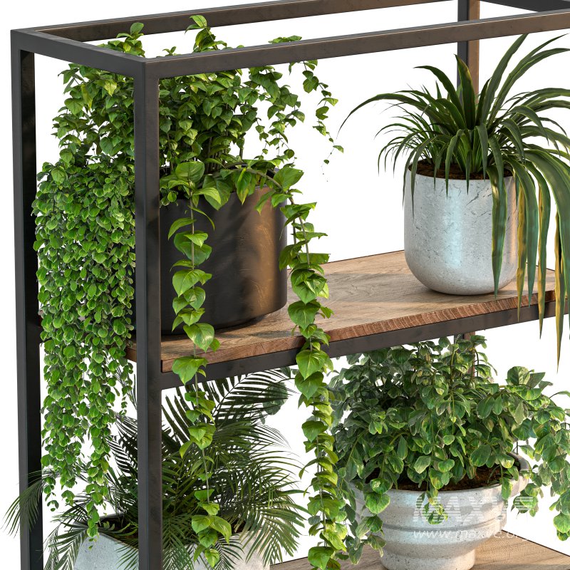 Metal Stand & Wooden Shelf Plant - Image 9
