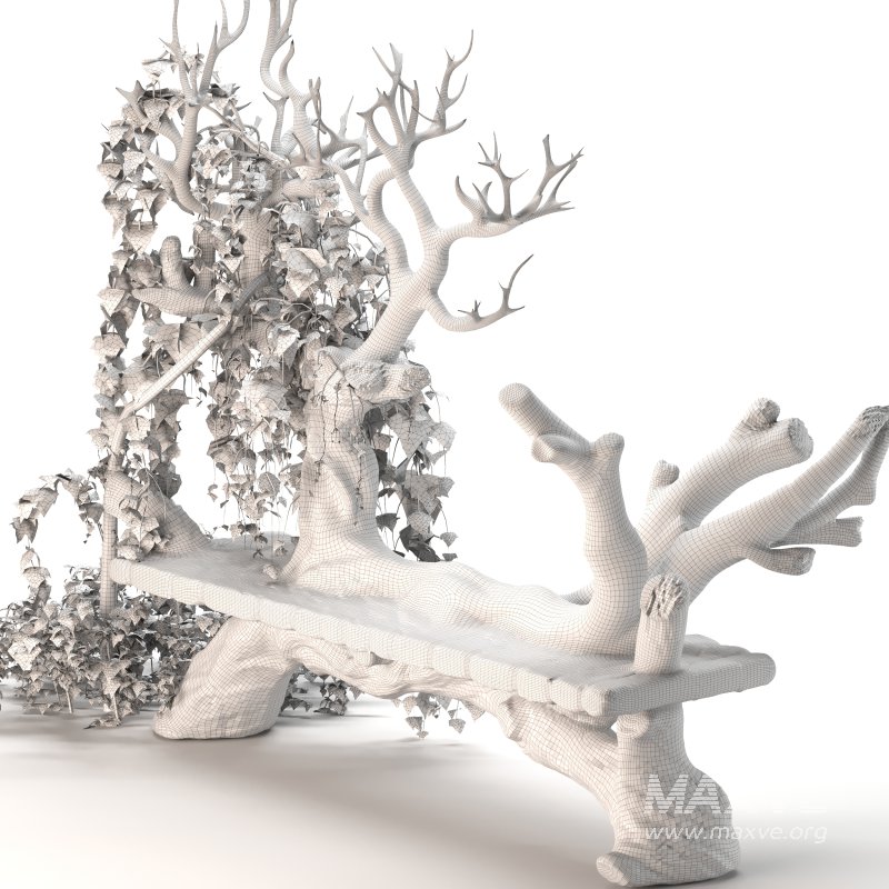 Wooden bench with English ivy - Image 2