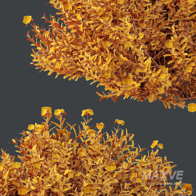 ntal shrubs designed for realistic landscape and architectural visualization. - Image 9