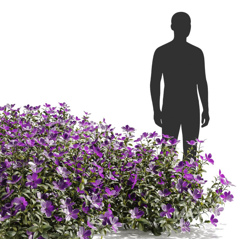 Purple Phlox Bush Arrangement - Image 6