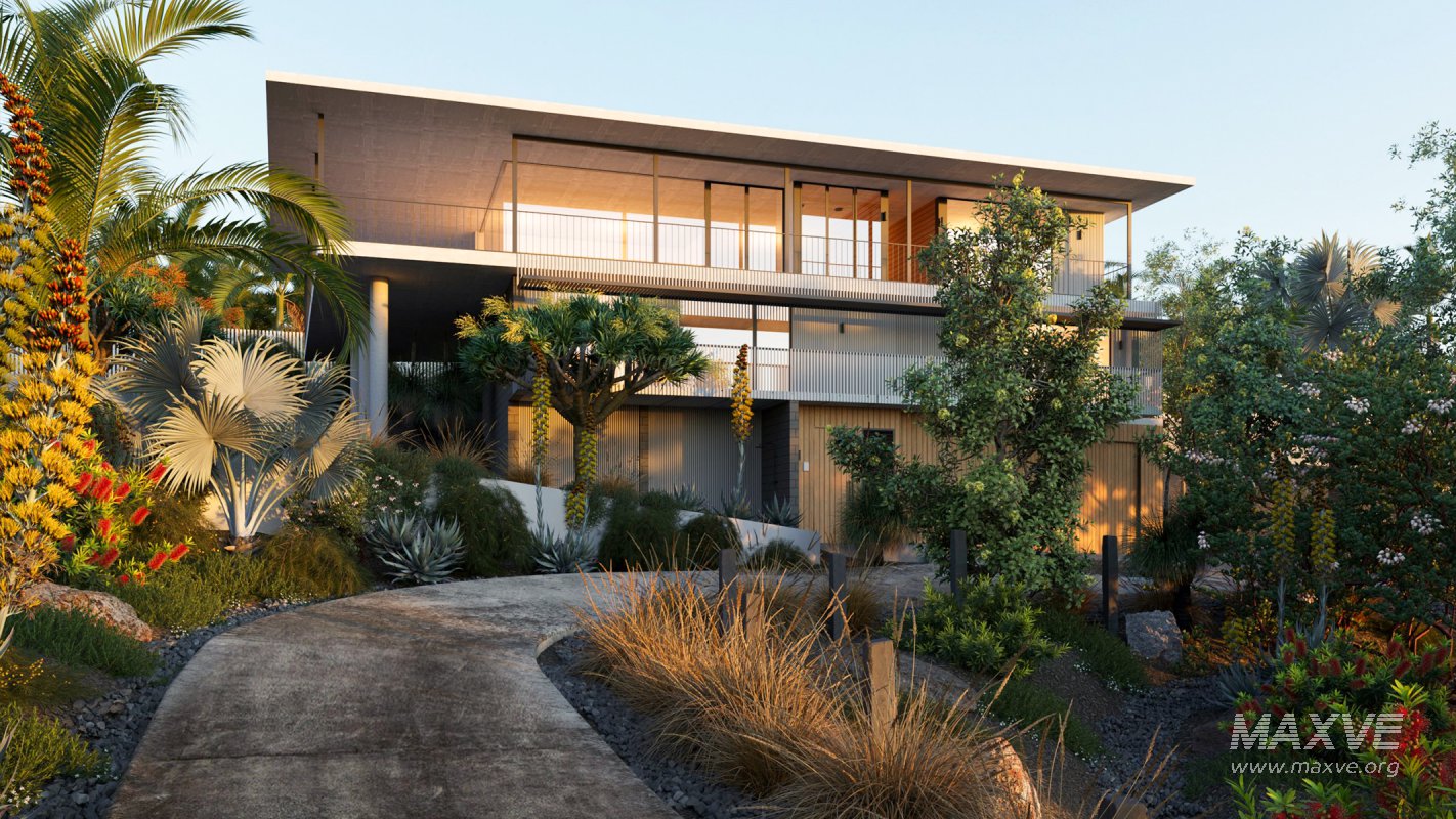 Collection 22 – Australian Plants - Image 1