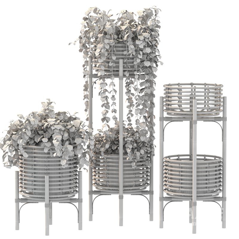 Wicker Magic Plant - Image 4