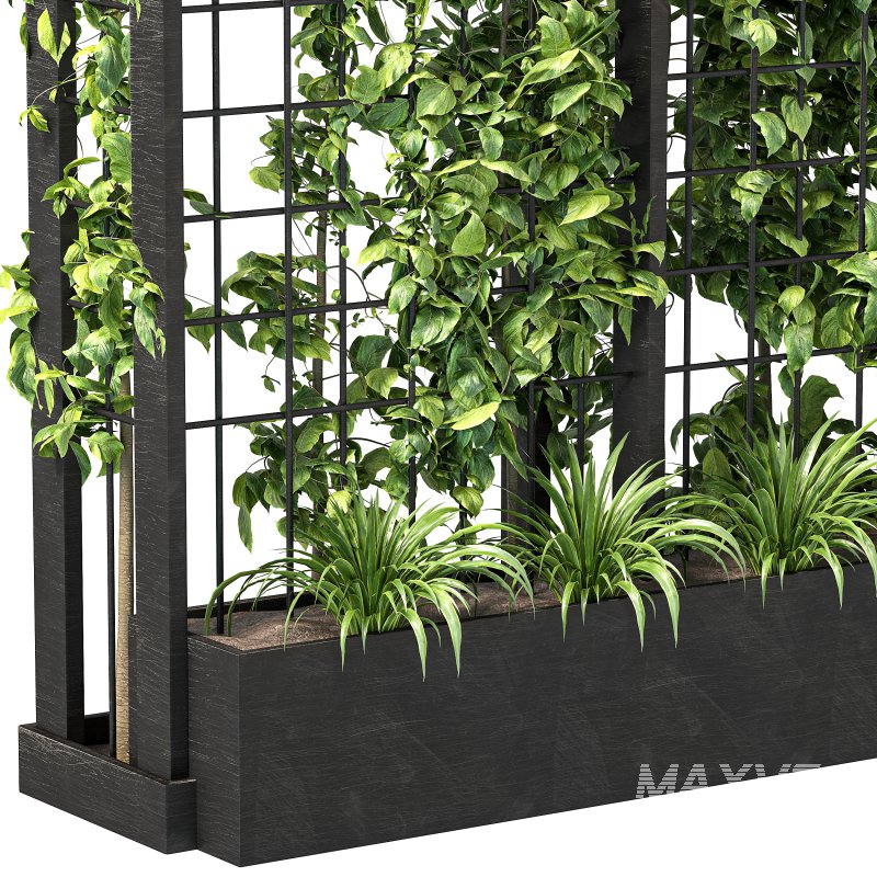 Vertical Garden Trellis 02 - Image 10