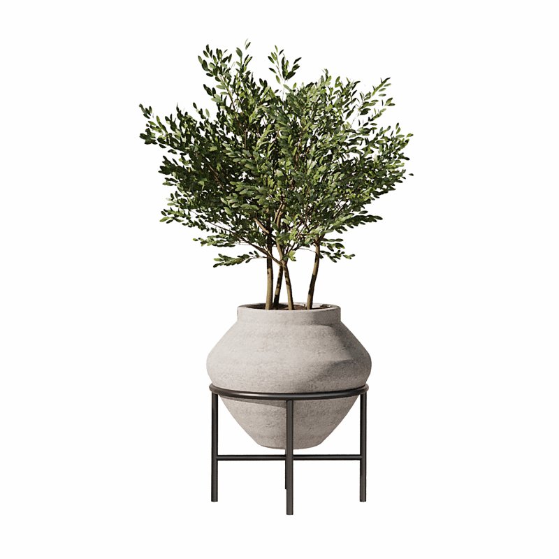 Indoor Plants Set 101 - Image 4