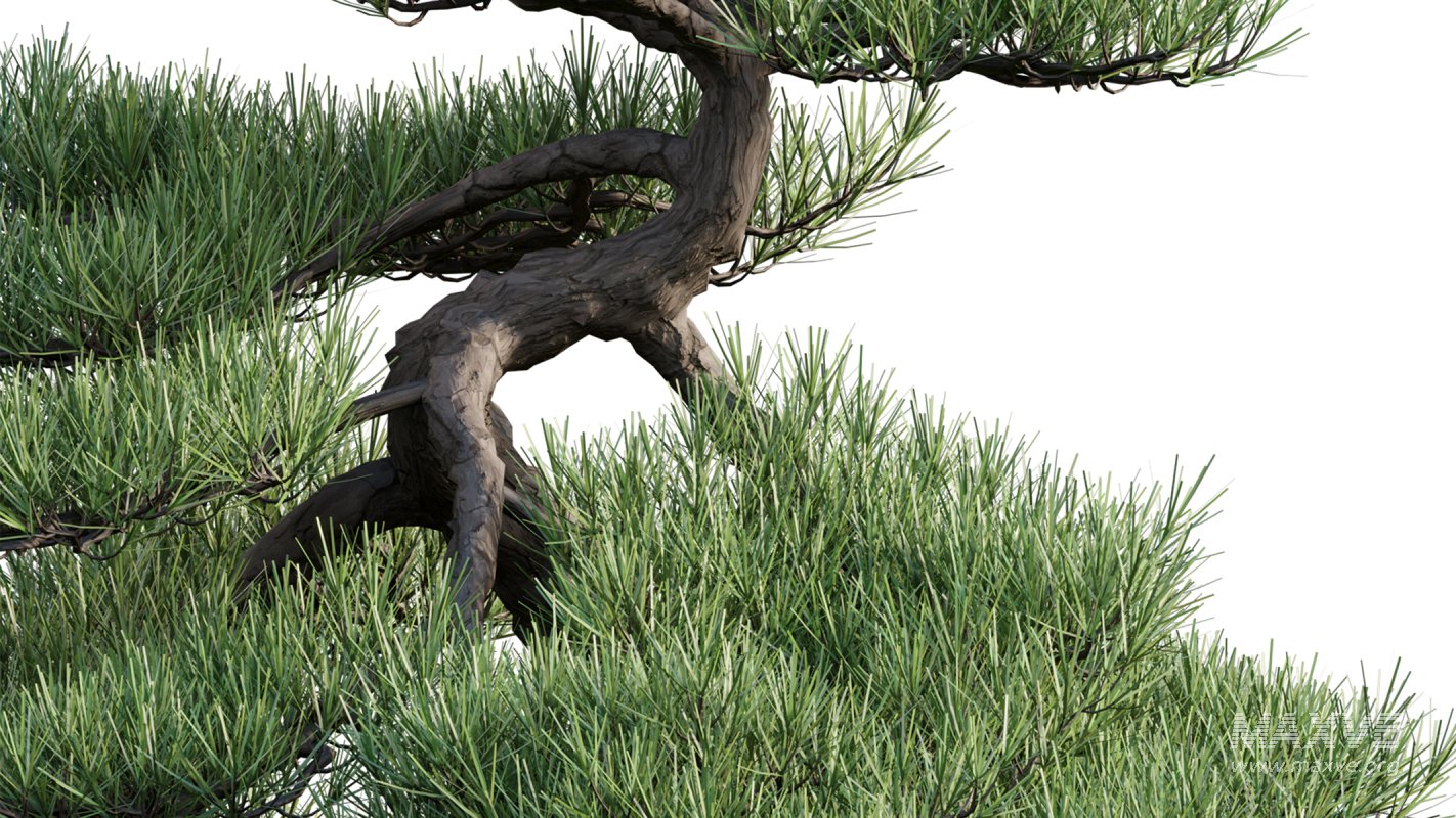 Collection 19 – Japanese garden - Image 38