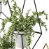 Modern Planters With Geometric Designs - Thumbnail 8
