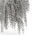 AV Weeping willow and Birch 2trees - Thumbnail 4