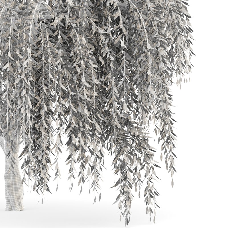 AV Weeping willow and Birch 2trees - Image 4