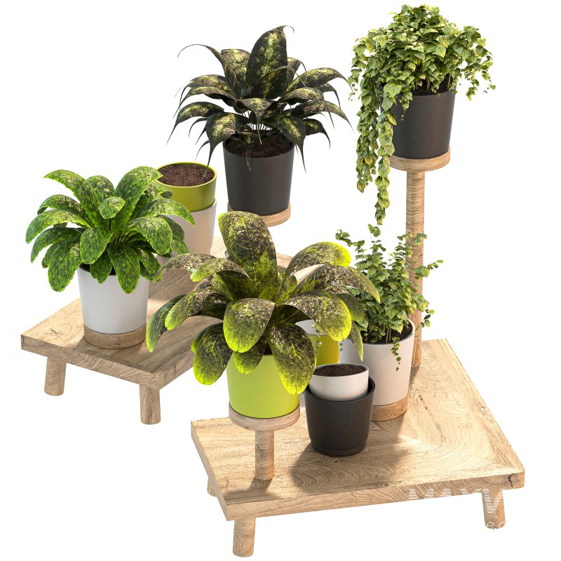 Wooden Stand Plant - Image 6
