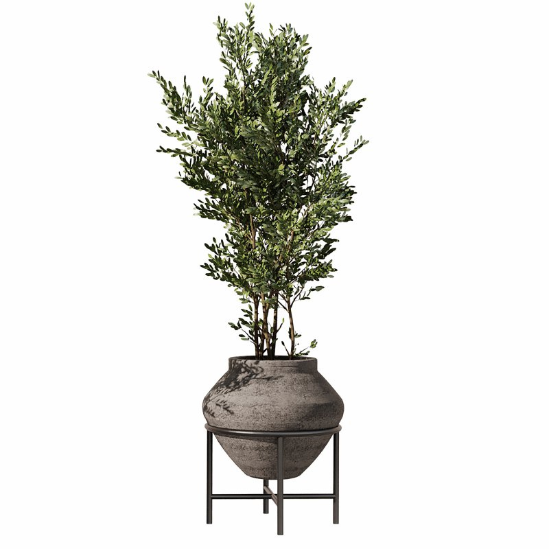 Indoor Plants Set 101 - Image 3