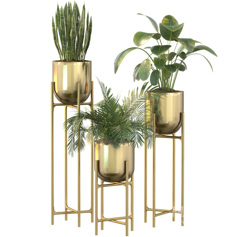 Metal Plant Set 06 - Image 10