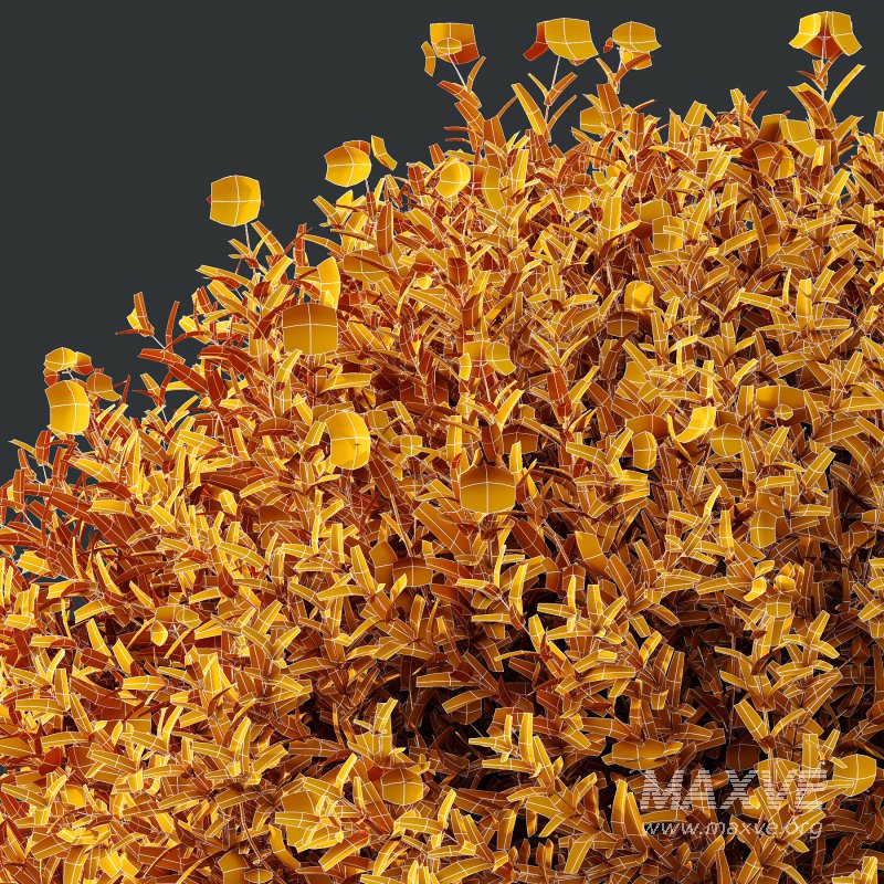 ntal shrubs designed for realistic landscape and architectural visualization. - Image 8