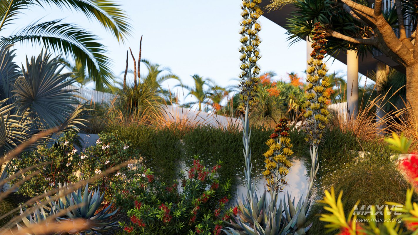 Collection 22 – Australian Plants - Image 2