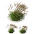 ntal grasses, designed for photorealistic landscape visualizations. - Thumbnail 7