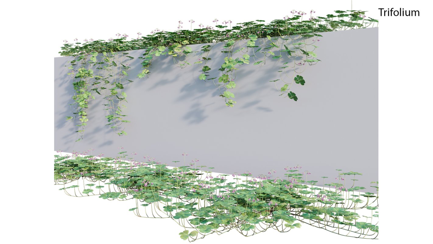 Collection 21 – Vertical garden – Green wall - Image 24