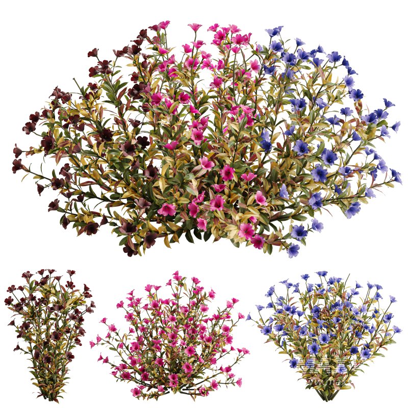 Multicolor Phlox Bush Arrangement - Image 1
