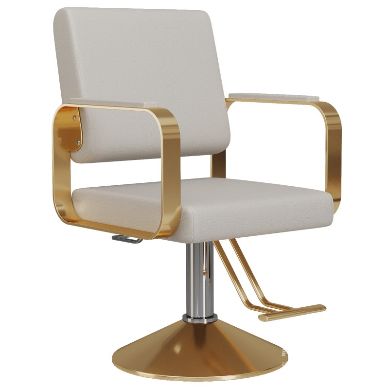 Hydraulic Salon Chair - Image 5