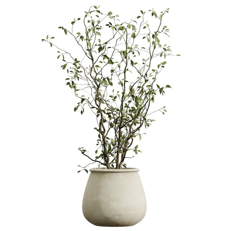 AV Indoor Plants Set 393 Spathiphyllum Wallisii and Ficus Binnendijki and Schefflera Arboricola and Japandi Decorative - Image 1