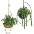 Metal hanging plants 06 - Thumbnail 4