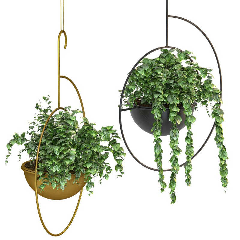 Metal hanging plants 06 - Image 4