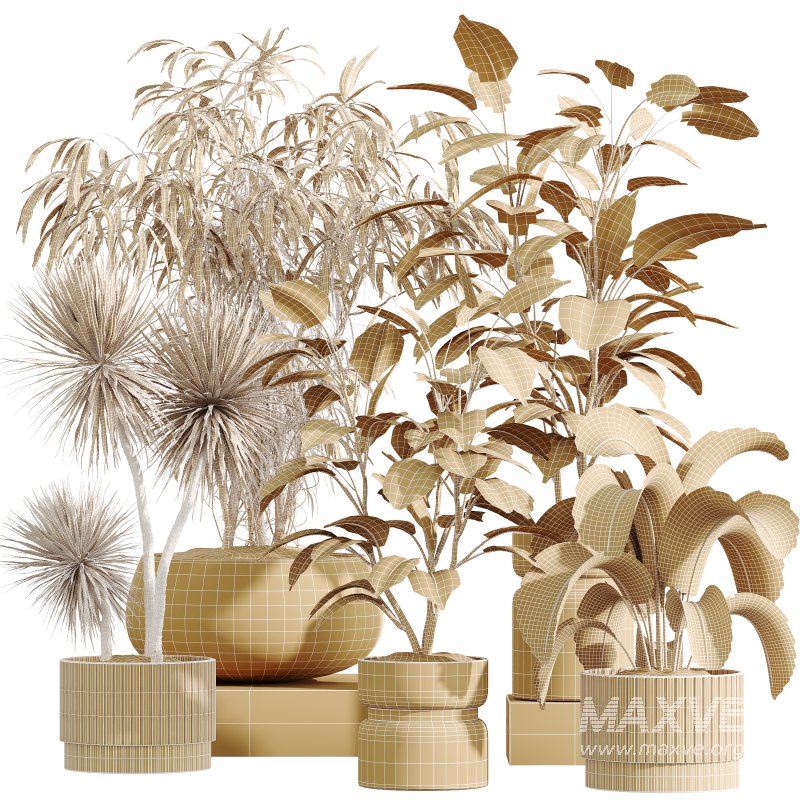 AV Indoor Plants Set 383 Yucca and Ficus Marginata and Banana Nicolai and Ficus Fig - Image 10