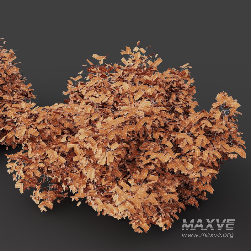 ntal shrubs, designed with botanical precision for photorealistic exterior rendering. - Image 8