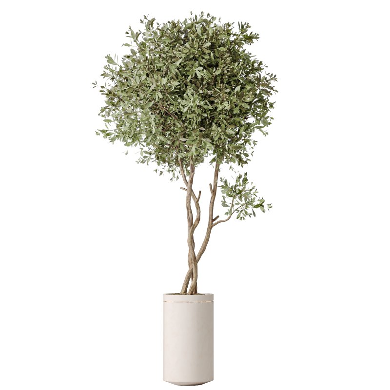 AV Indoor Plants Set 388 - Image 1