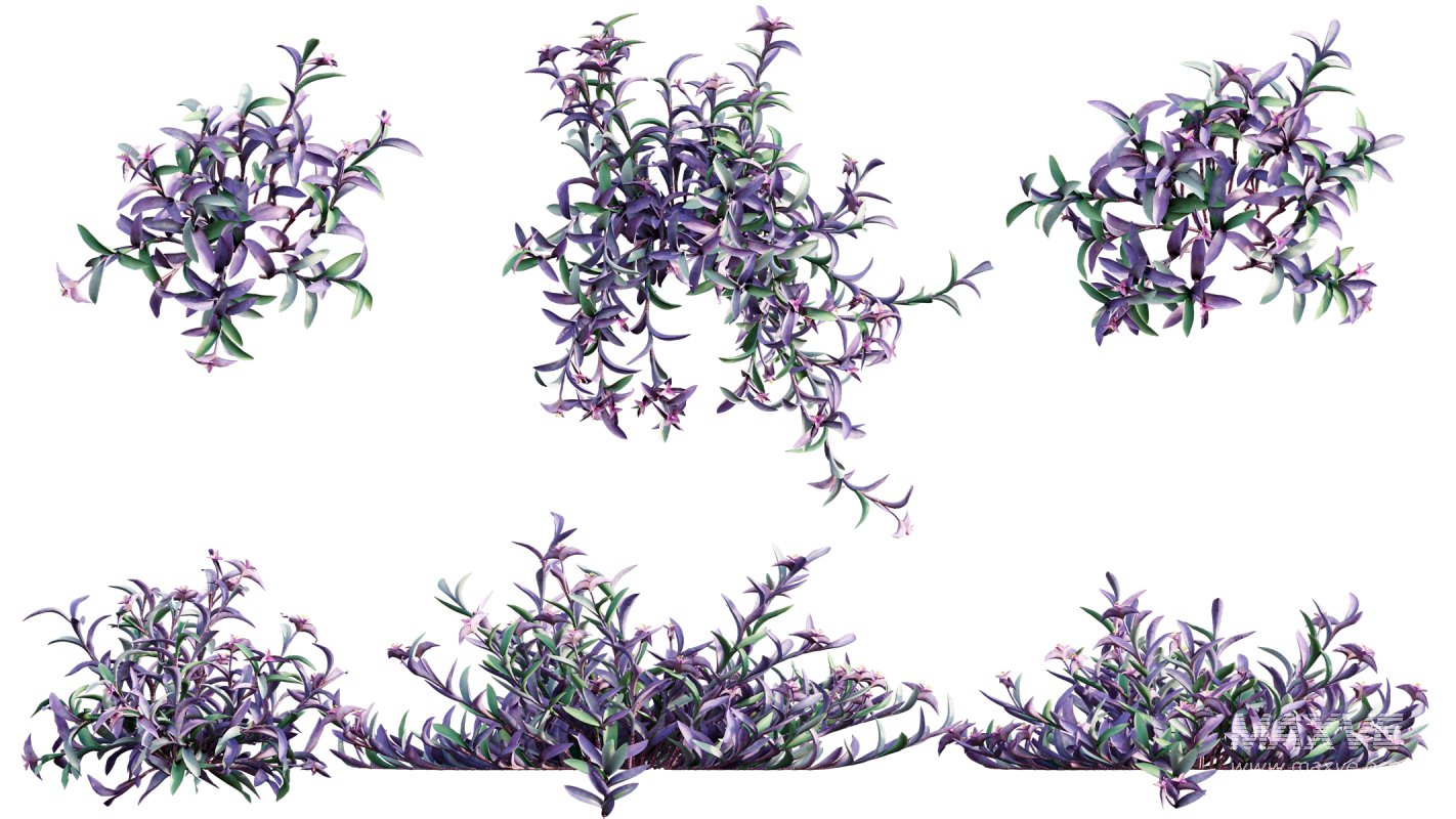 Collection 21 – Vertical garden – Green wall - Image 22