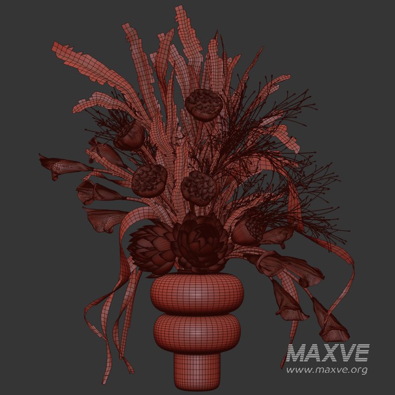 Lotus and Artichoke Dried Set47 - Image 4