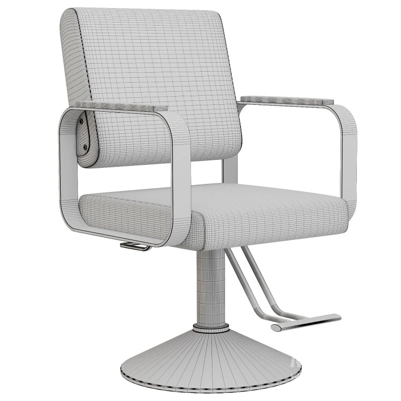 Hydraulic Salon Chair - Image 3