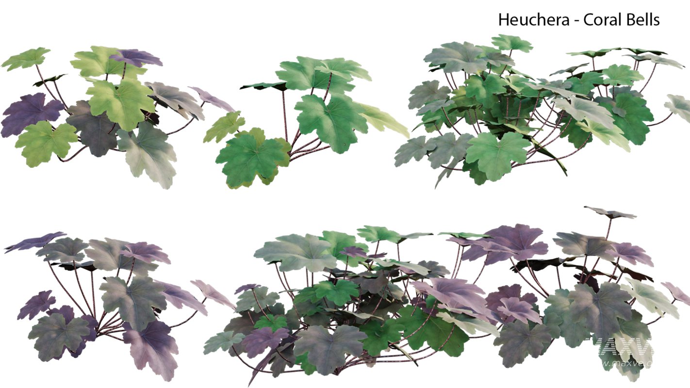 Collection 21 – Vertical garden – Green wall - Image 9